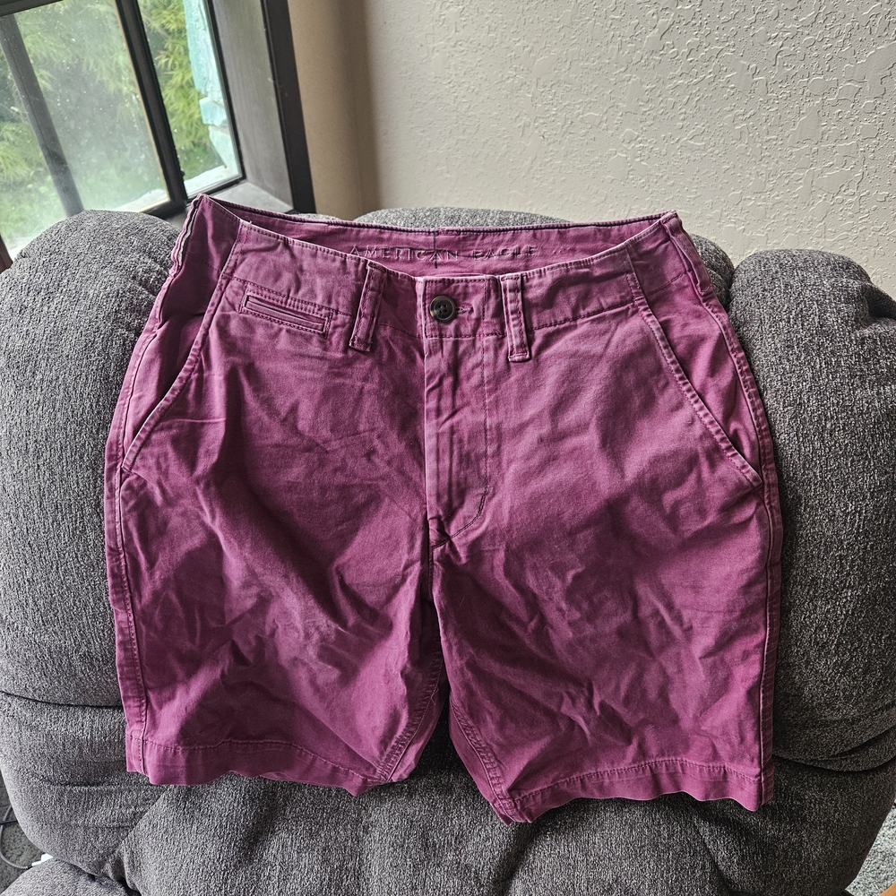 American Eagle Outfitters Women's Purple Shorts